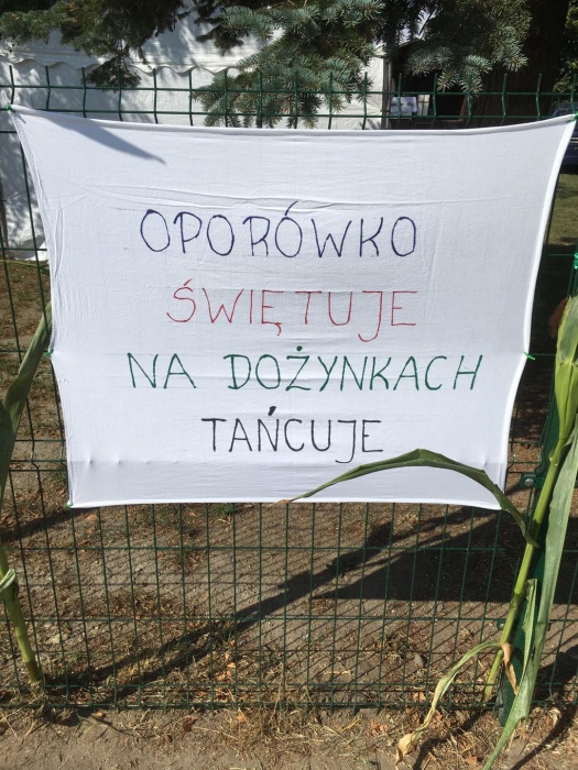 Zdjęcie Dożynki w Oporówku