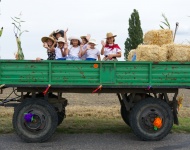 Zdjęcie nr 5 Dożynki 2019 Pawłowice